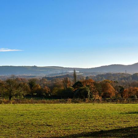 Garden Flat Near Goodwood With Stunning Views Leilighet Petersfield Eksteriør bilde