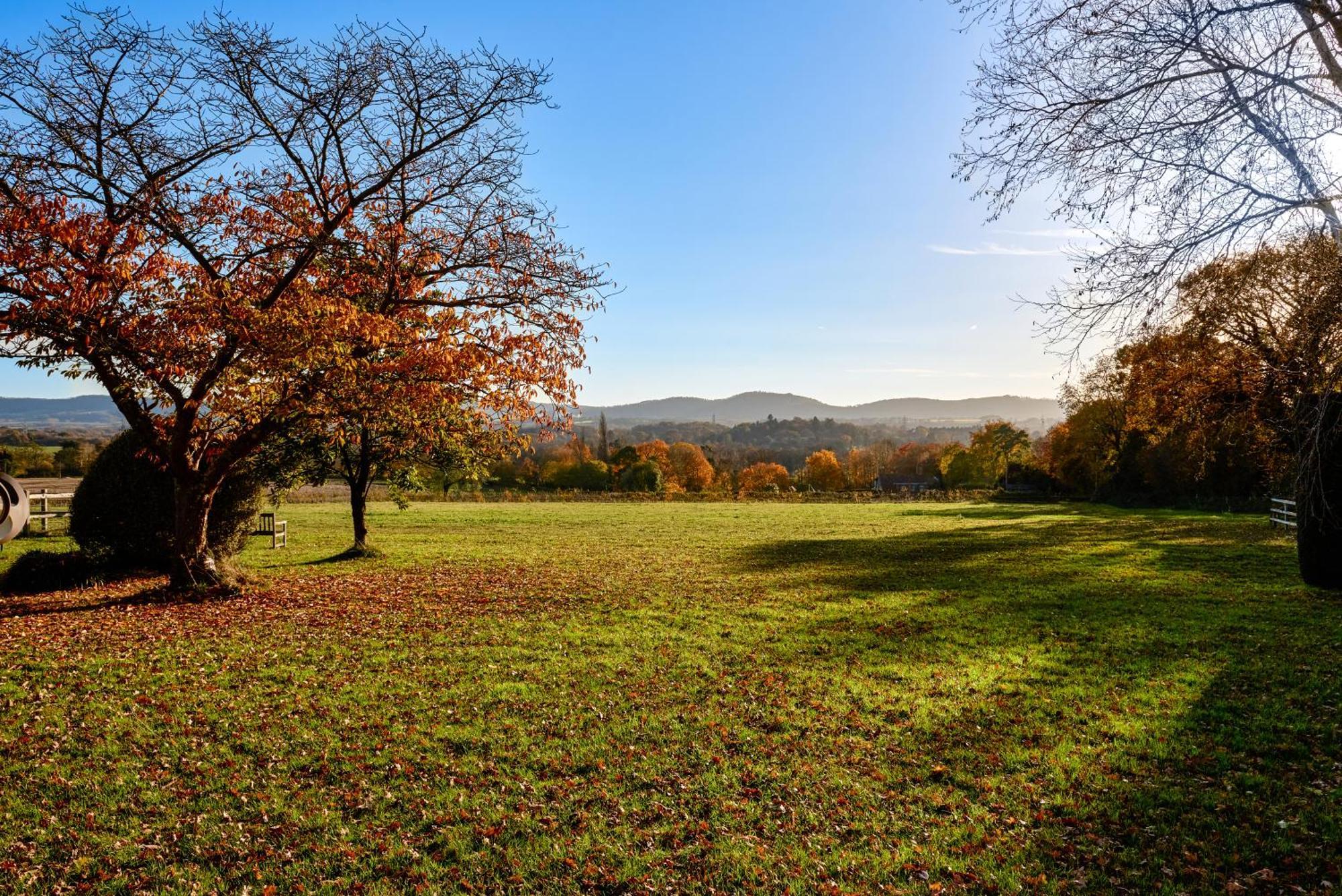 Garden Flat Near Goodwood With Stunning Views Leilighet Petersfield Eksteriør bilde