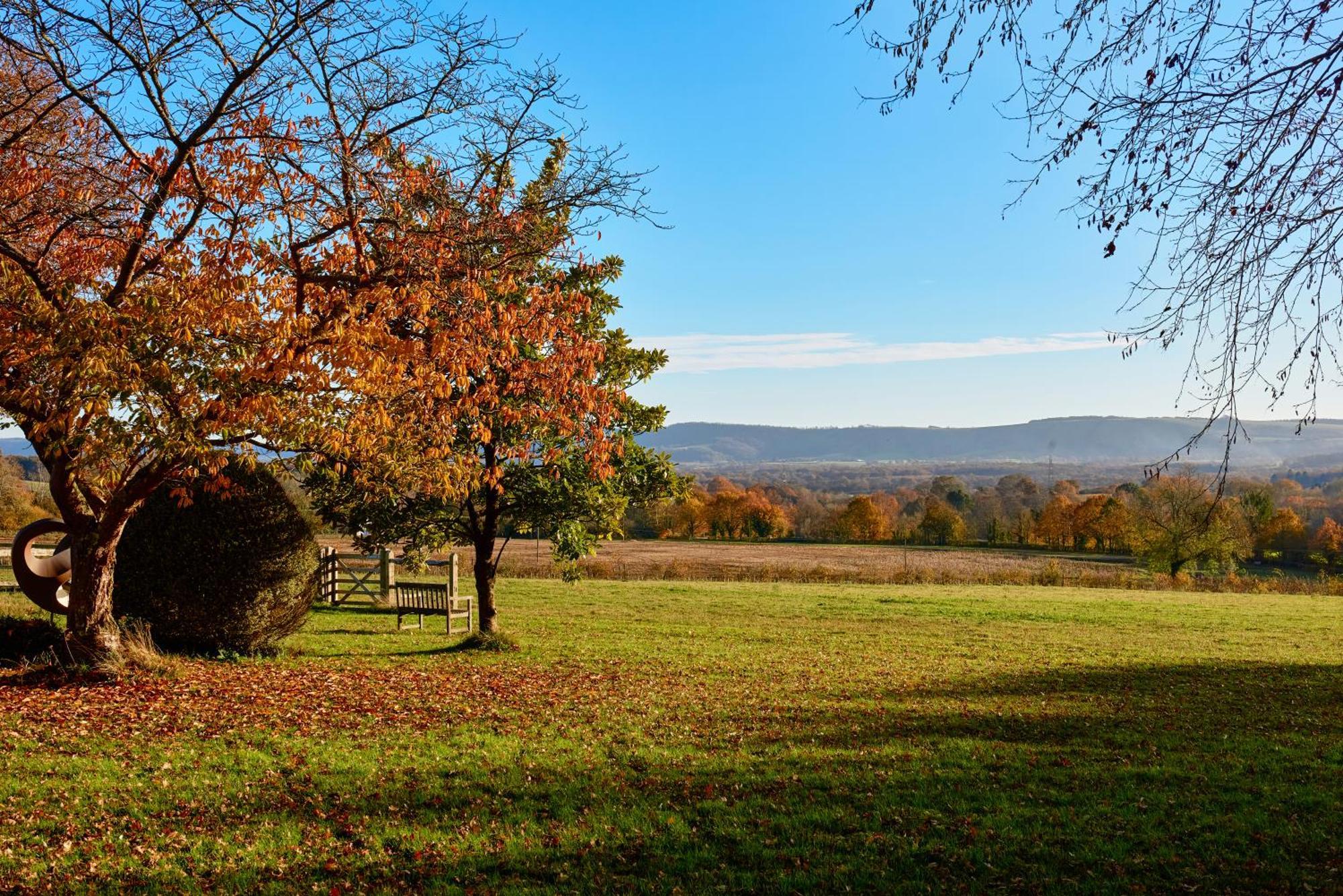 Garden Flat Near Goodwood With Stunning Views Leilighet Petersfield Eksteriør bilde